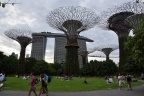 Singapore 247
