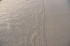 DSC 0122