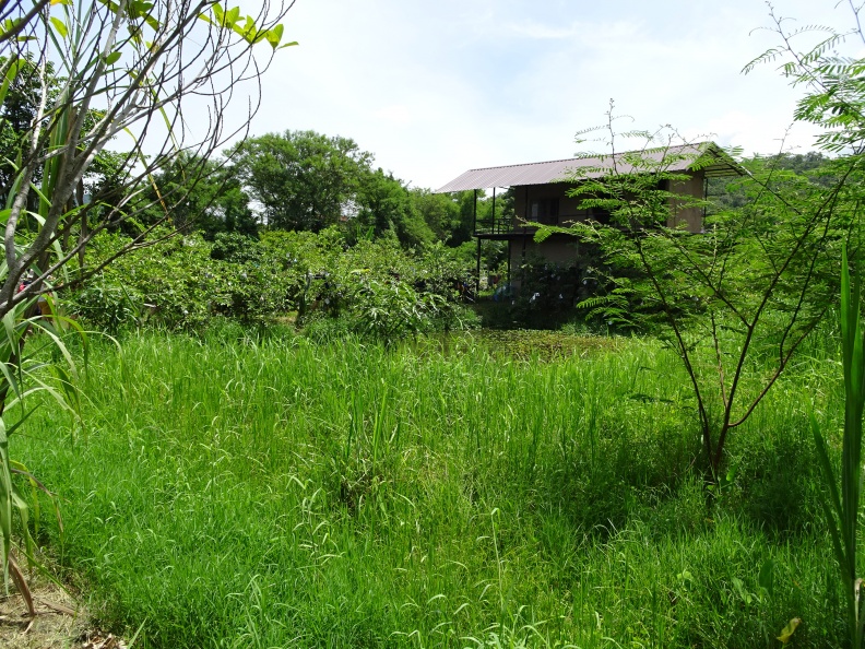 คอร์สพึ่งตนเอง_0848.JPG