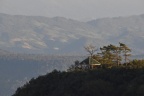 DSC 0075