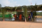 DSC 0006