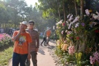 มหกรรมดอกไม้ 71