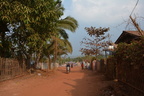 DSC 0031