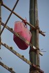 DSC 0045