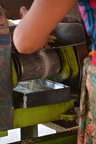 DSC 0002