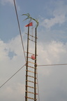 DSC 0043