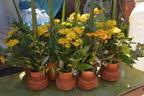DSC 0046