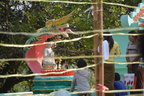 DSC 0006