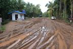DSC 0049