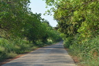 Annual Kathina 024