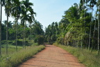 Annual Kathina 028
