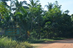 Annual Kathina 029