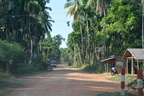 Annual Kathina 030