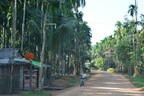 Annual Kathina 031