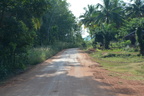 Annual Kathina 047
