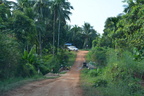 Annual Kathina 057