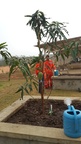 Zawtika Onshore Project
