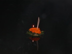 0311220
