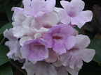 PICT0043
