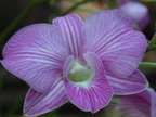 PICT0044