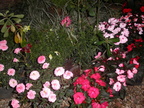 PICT0005
