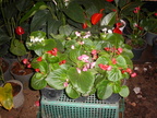 PICT0007