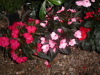 PICT0009