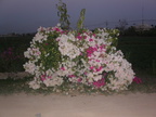 PICT0011