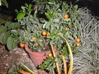 PICT0014