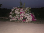 PICT0016